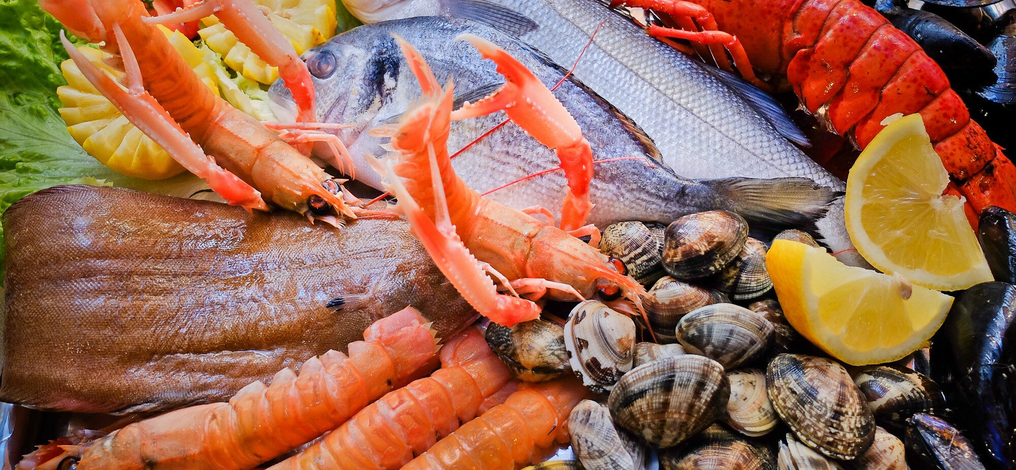sfondo_pesce